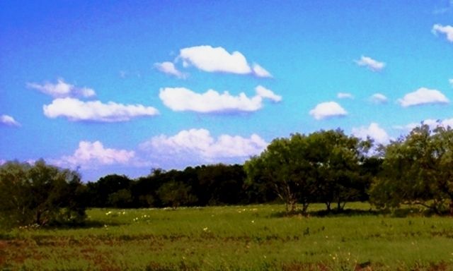 00 Hwy 34, Terrell, TX 75160